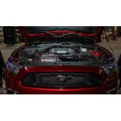 Réservoir Trop-Plein Mishimoto - Ford Mustang EcoBoost/V6/V8, 2015+