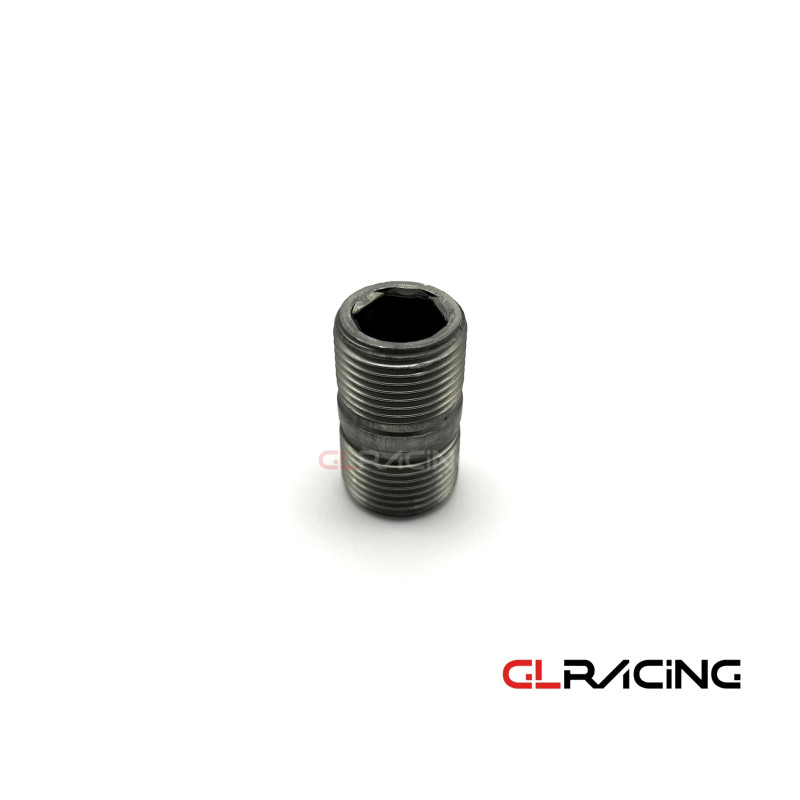 MN163825