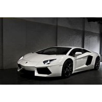 Catégorie Aventador - GL Racing Shop : 