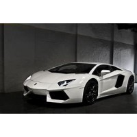 Catégorie AVENTADOR - GL Racing Shop : 